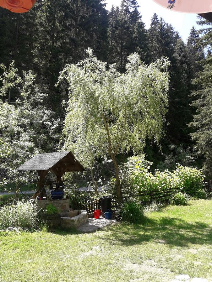 Sastanci-Grahovaca Villa Rozhajë Eksteriør billede